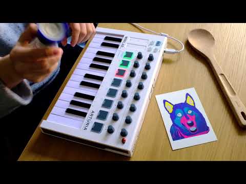 Gotye - Somebody That I Used To Know (Livelooping cover - Arturia Minilab MkII)