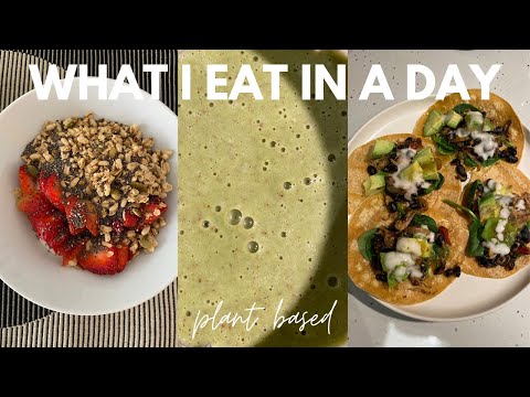 what i eat in a day - plant based