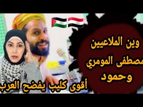 ردة فعل غزاوية 🇵🇸  على كليب مصطفى المومري وين الملاعيين 🇾🇪 ما عندكم ضمير .. خفتم يا حمير  ...