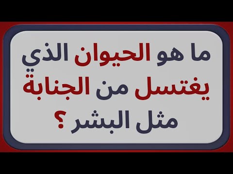 What is the animal that performs ablution from impurity like humans?