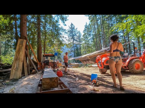 We Bought An Old $4000 Saw Mill And This Is What We've Milled! TIMELAPSE