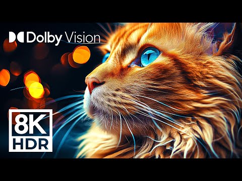 CRYSTAL CLEAR DOLBY VISION&trade; - 8K ULTRA HD HDR (COLORFULLY DYNAMIC)