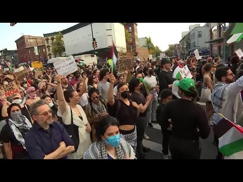 Pro-Palestinian protesters rally in New York