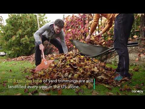 The world's first manufacturer of eco-friendly packaging made from fallen leaves - Releaf Paper