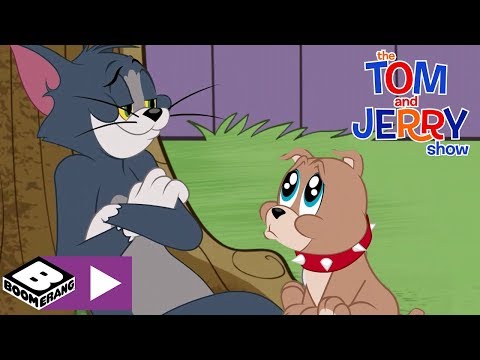 Garde de chiot | The Tom &amp; Jerry show | Boomerang