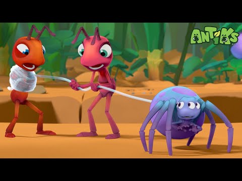 Spider Baby! | Funny Cartoons For All The Family! | Funny Videos for kids | ANTIKS 🐜🌿