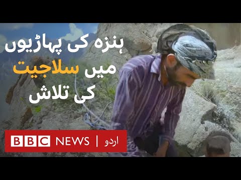 In search of Salajeet in Hunza: An Aphrodisiac, laxative or everything in between? - BBC URDU