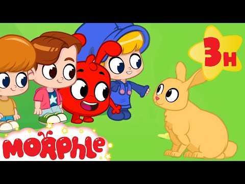 Morphle's School Trip to the Forest!  | Morphle's Family | My Magic Pet Morphle | Kids Cartoons