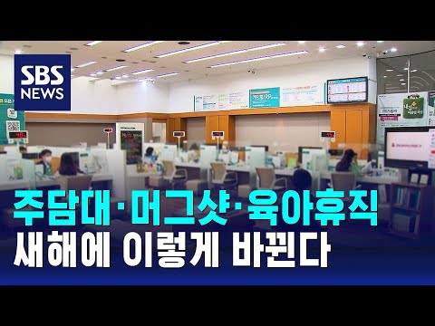 주담대 앱 대환&middot;머그샷 확대 등&hellip;새해에 바뀌는 것들 / SBS