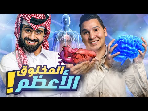 تحدي المعلومات - الإنسان ??