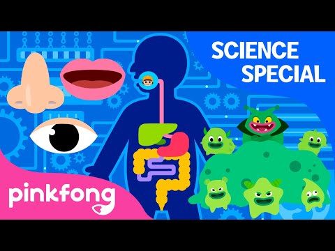 Hospital Play and more | +Compilation | Science Songs Special | Pinkfong Songs for Children