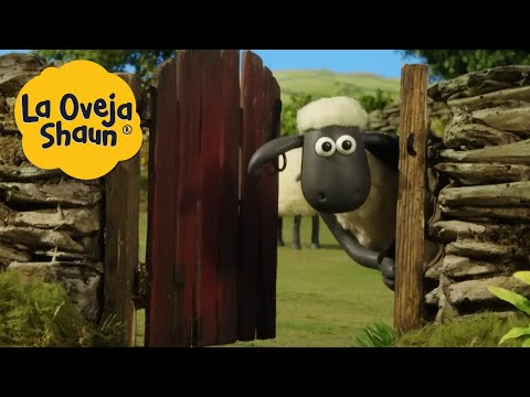 La Oveja Shaun 🐑 Oveja astuta 🐑 Dibujos animados para ni&ntilde;os