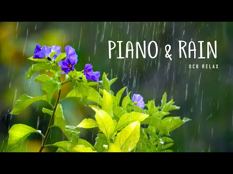 Rain Sounds &amp; Relaxing Music 24/7 - Piano Music, Sleep, Study, Yoga, Stress Relief, Meditation