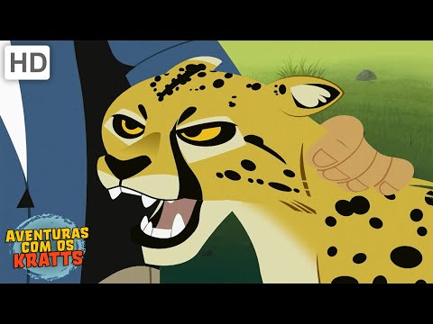 Aventuras com os Kratts | Guepardos| O animal terrestre mais r&aacute;pido [epis&oacute;dios completos]