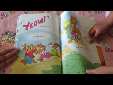 THE BERENSTAIN BEARS AND THE GHOST OF THE THEATER READ ALOUD