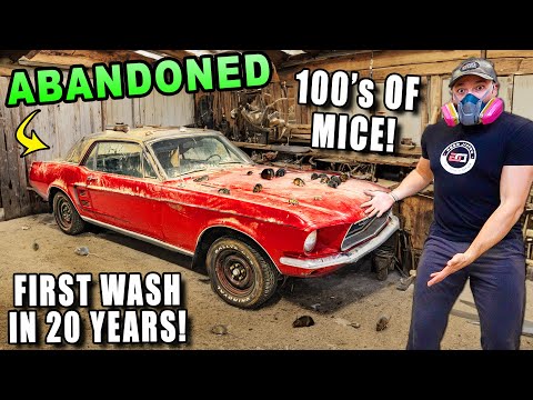 I Found The COOLEST Classic Car From The 60's To Detail!