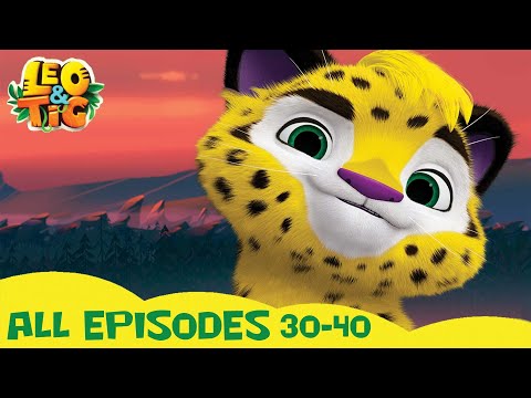 LEO and TIG 🦁 🐯 All epsodes in a row 30-40 ⭐ Cartoons collection 💚 Moolt Kids Toons Happy Bear