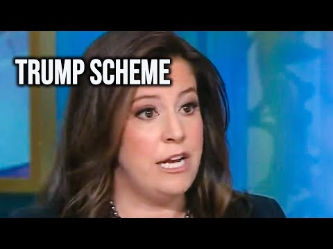 Trump Goon Elise Stefanik ADMITS Blatant Election Scheme On National TV