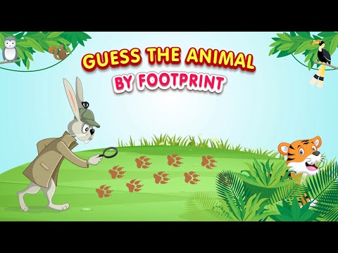 Animal Detective: Guess the Animal by Its Footprint?