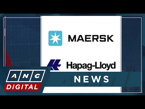 Maersk prepares to restart operations in Red Sea | ANC