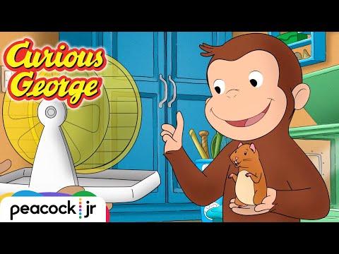 George's Tiny Hamster Playground | CURIOUS GEORGE