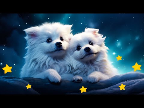 Mozart Brahms Beethoven Calming Baby Lullabies -Classical Music For Babies-Sleep Music for Babies