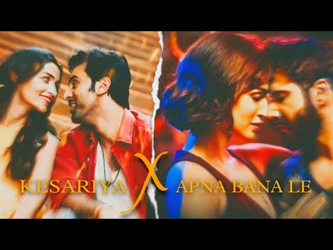 Kesariya x Apna Bana Le ( last mashup of 2022 ) ( Vizzibee )