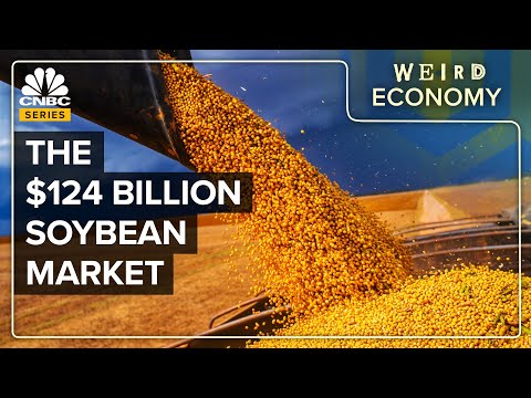 Why The U.S. Is Now Obsessed With Soybeans