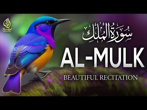 Beautiful recitation of Surah Mulk (سورة الملك) Saidul Islam Said