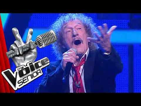 Procol Harum - A Whiter Shade Of Pale (Geff Harrison) | The Voice Senior | SAT.1