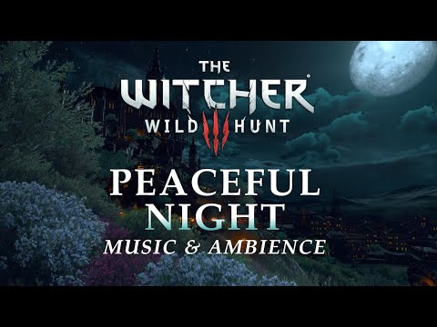 The Witcher Music &amp; Ambience | Peaceful Night in Toussaint in 4K