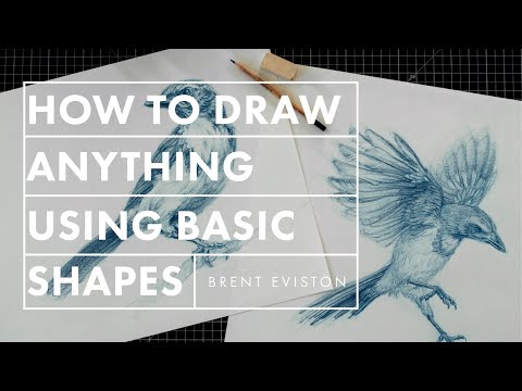 How to Draw Anything Using Basic Shapes