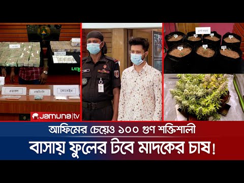 যুক্তরাষ্ট্রে পড়াশোনা, বাংলাদেশে এসে মাদক ব্যবসা, বাসায় করেন চাষ | Drug Recovery