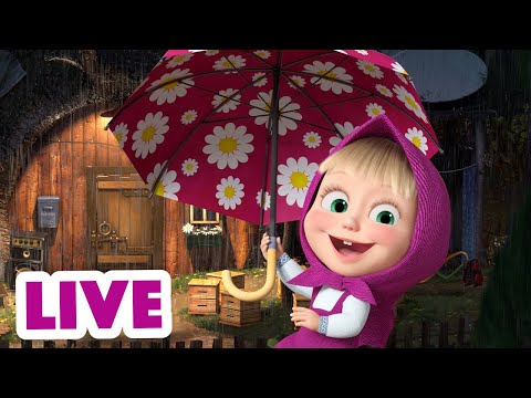 🔴 LIVE STREAM 🎬 Masha and the Bear 👱&zwj;♀️ Singing in the rain ☔