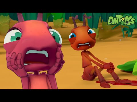 Break a Leg! | Funny Cartoons For All The Family! | Funny Videos for kids | ANTIKS 🐜🌿