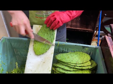 Nopales - Mexikanisches Kaktusgem&uuml;se