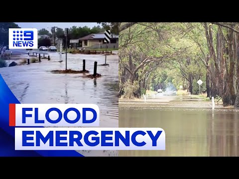 Homes lost as wild weather lashes Victoria | 9 News Australia