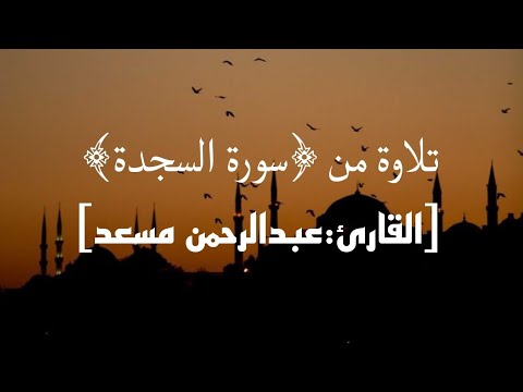 تلاوة من سورة ﴿السجدة﴾ &bull; القارئ: عبدالرحمن مسعد🍃🍁