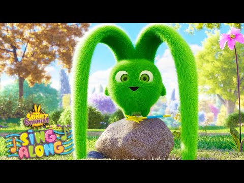 Funny Ears | SUNNY BUNNIES | SING ALONG Compilation | Cartoons for Kids