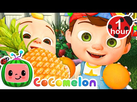 The Colors Song (with Popsicles) | CoComelon | Moonbug Kids - Art for Kids 🖌️