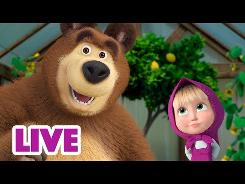 ? LIVE STREAM ? Masha and the Bear ? Helping Paw ? New episode 2023 ➡️ Coming on November 17!