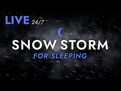 🔴 Fall Asleep to Snow Storm Sounds for Sleeping - Dimmed Screen | Live Stream - Blizzard Sounds