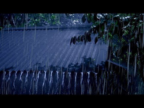 Beat Stress &amp; Goodbye Insomnia in 3 Minutes with Heavy Rain,Thunder Sounds on a Tin Roof at Night #3