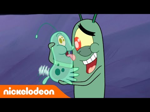 SpongeBob Schwammkopf | Planktons neues Haustier | Nickelodeon Deutschland