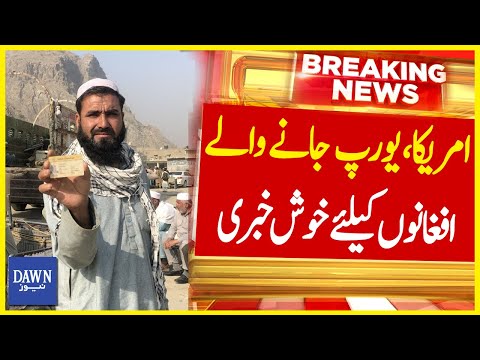 Good News for Illegal Afghan Nationals in Pakistan | Afghan Refugees | Dawn News