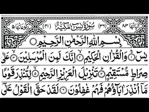 Surah Yasin | Quran Tilawat |Episode 38| Daily Quran Tilawat Surah Yaseen Surah Rahman |