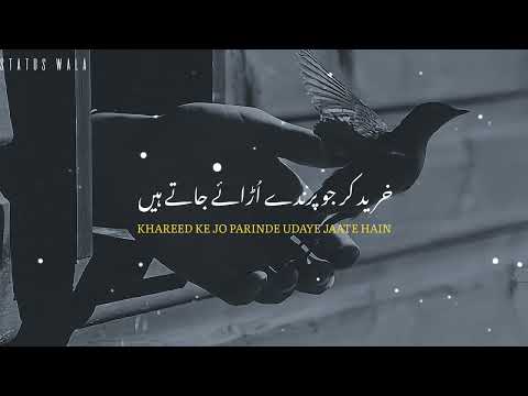 khareed kar Jo Parinde udaye Jaate Hain 🕊✨ Urdu Poetry Whatsapp Status