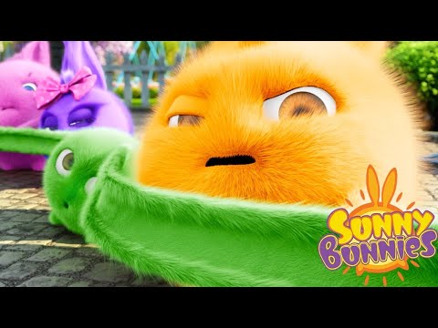 Videos For Kids | Sunny Bunnies THE SUNNY BUNNIES LONG EAR BUNNY | Funny Videos For Kids