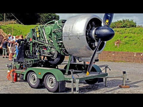 Juicy Cold Start AVRO ANSON with Armstrong Siddeley Cheetah Engines and Sound