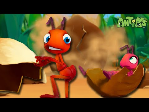 These Ants are Nuts! 🥜 | 🐜 Antiks 🐜 | Funny Cartoons for Kids | Moonbug